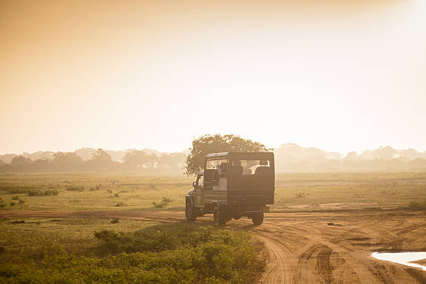 Yala National Park